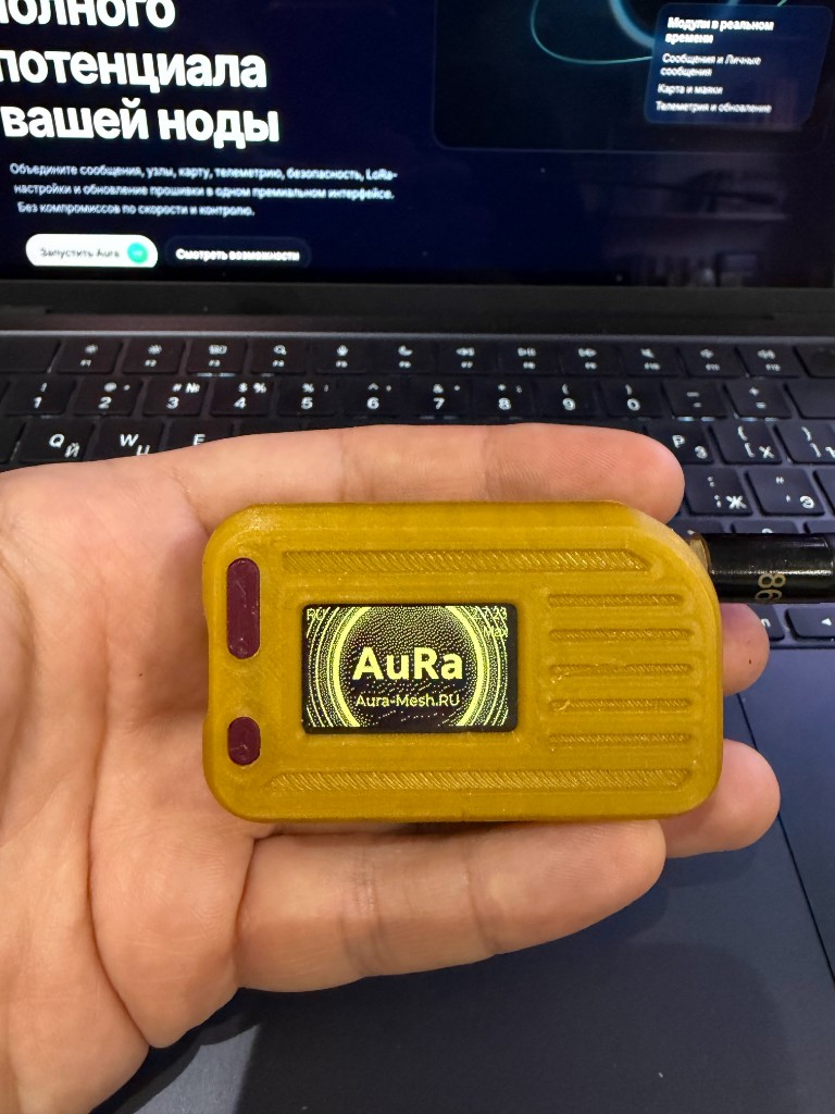 Устройство с прошивкой AuRa: экран приветствия